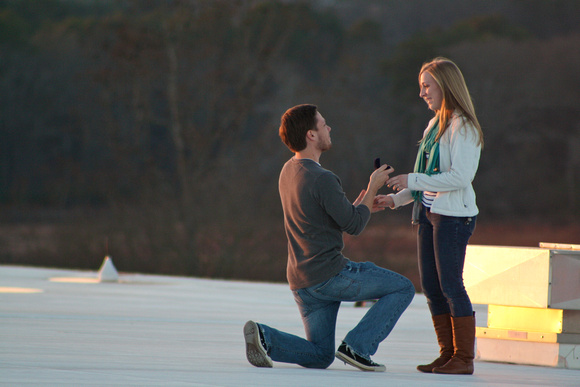 The proposal!